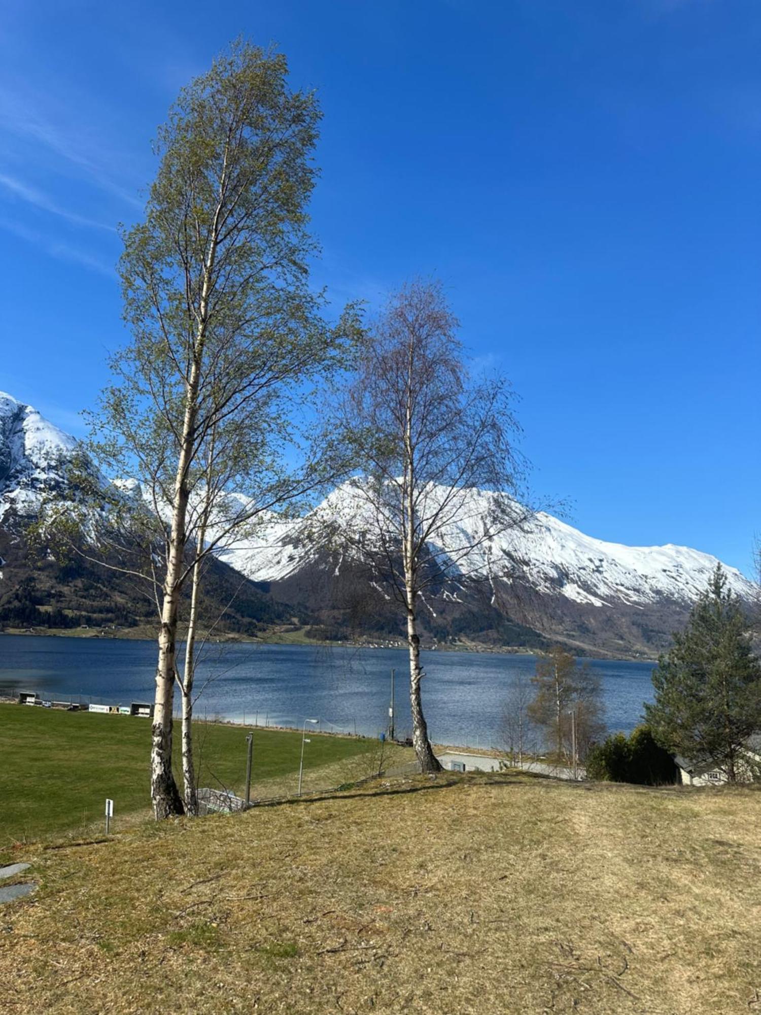 Vollsnes Feriehus Villa Hjelle Luaran gambar